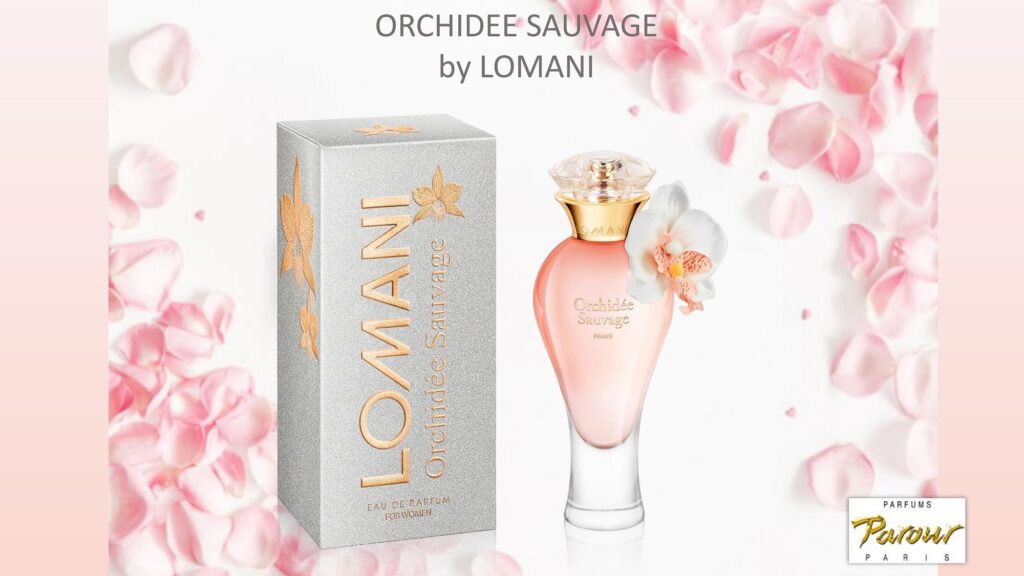 Orchidee Sauvage